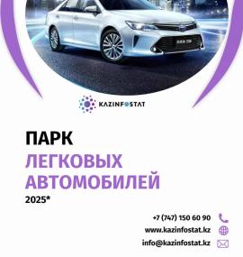 Ready-made report: Passenger Car Fleet in Kazakhstan | KazInfostat